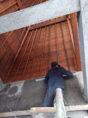 Foto site P.sunar b 7 Jun