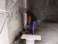 Foto site Halik 11 Jun