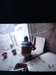 Foto site Abdullah 12 Jun