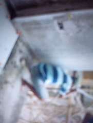 Foto site Abdullah 13 Jun