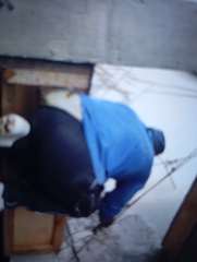 Foto site Parlan 13 Jun