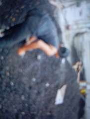 Foto site Alpan 13 Jun