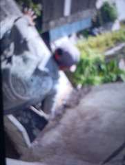 Foto site Ropek 13 Jun