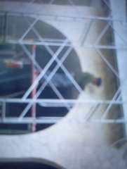 Foto site muhamat 14 Jun