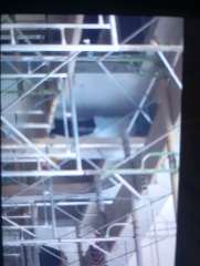 Foto site Mujiono 14 Jun