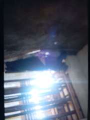 Foto site Parlan 14 Jun
