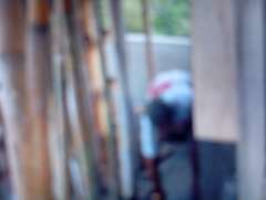 Foto site Taufik 14 Jun
