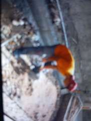 Foto site Fatta 14 Jun
