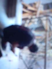 Foto site Sam 14 Jun