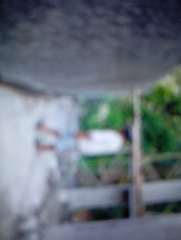 Foto site zaeni b 14 Jun