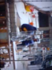 Foto site Astro 15 Jun