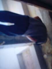 Foto site Dofir 15 Jun