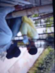 Foto site Tohari 15 Jun