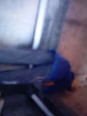 Foto site Fausi  15 Jun