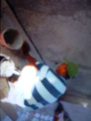 Foto site Abdullah 16 Jun