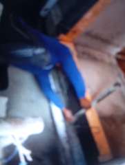 Foto site Fausi  16 Jun