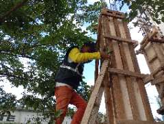 Foto site Peni 19 Jun