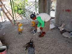 Foto site Riswan 20 Jun