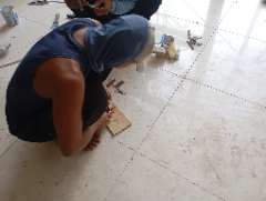 Foto site Dani 26 Jun