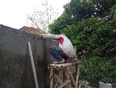 Foto site Parman 26 Jun