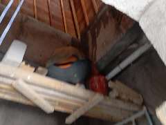 Foto site Roy 26 Jun