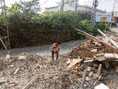 Foto site Fian 26 Jun