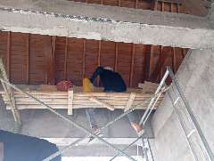 Foto site Roy 27 Jun