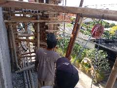 Foto site Soim 29 Jun