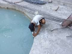 Foto site Fian 29 Jun