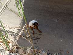 Foto site Zaeni  29 Jun