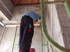 Foto AI review Wahyu  2026-07-11