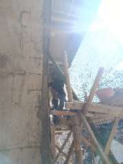 Foto site Roy 15 Jul