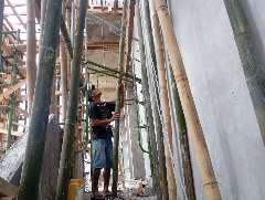 Foto site Awang 19 Jul