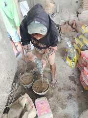 Foto site Hasan 20 Jul