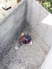 Foto AI review Syaiful 2026-07-23