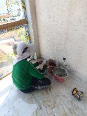 Foto site Mujiono 24 Jul