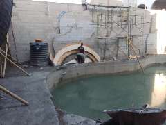 Foto site Topik 26 Jul