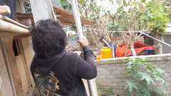 Foto site Zaenal 26 Jul