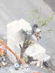 Foto site Fian 27 Jul