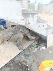 Foto site Andri 28 Jul
