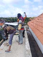 Foto site Tohari 28 Jul