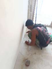 Foto site Bais 28 Jul