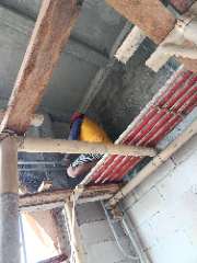 Foto site Samsul 29 Jul