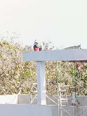 Foto site Mujiono 30 Jul