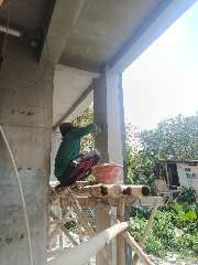 Foto site Sugik B 30 Jul