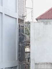 Foto site Dul 1 Agu