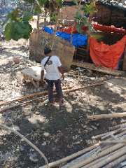 Foto site Soleh 4 Agu