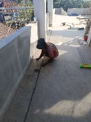 Foto site Riswan 4 Agu