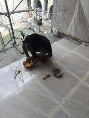 Foto site Bais 5 Agu
