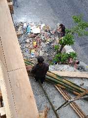 Foto AI review Wahid 2026-08-07